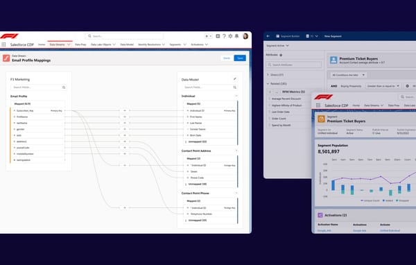 Customer Data Platform mapping and segmentation